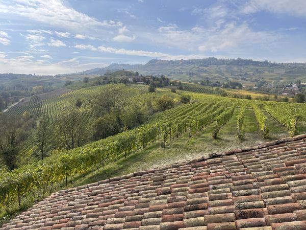 Landschaftsbild von Weinberge im Piemont